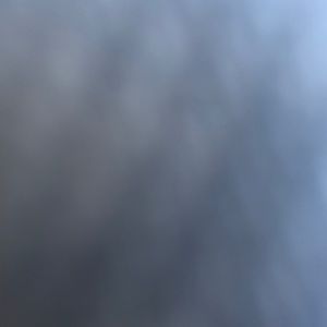 Meet your Posher, Lilly